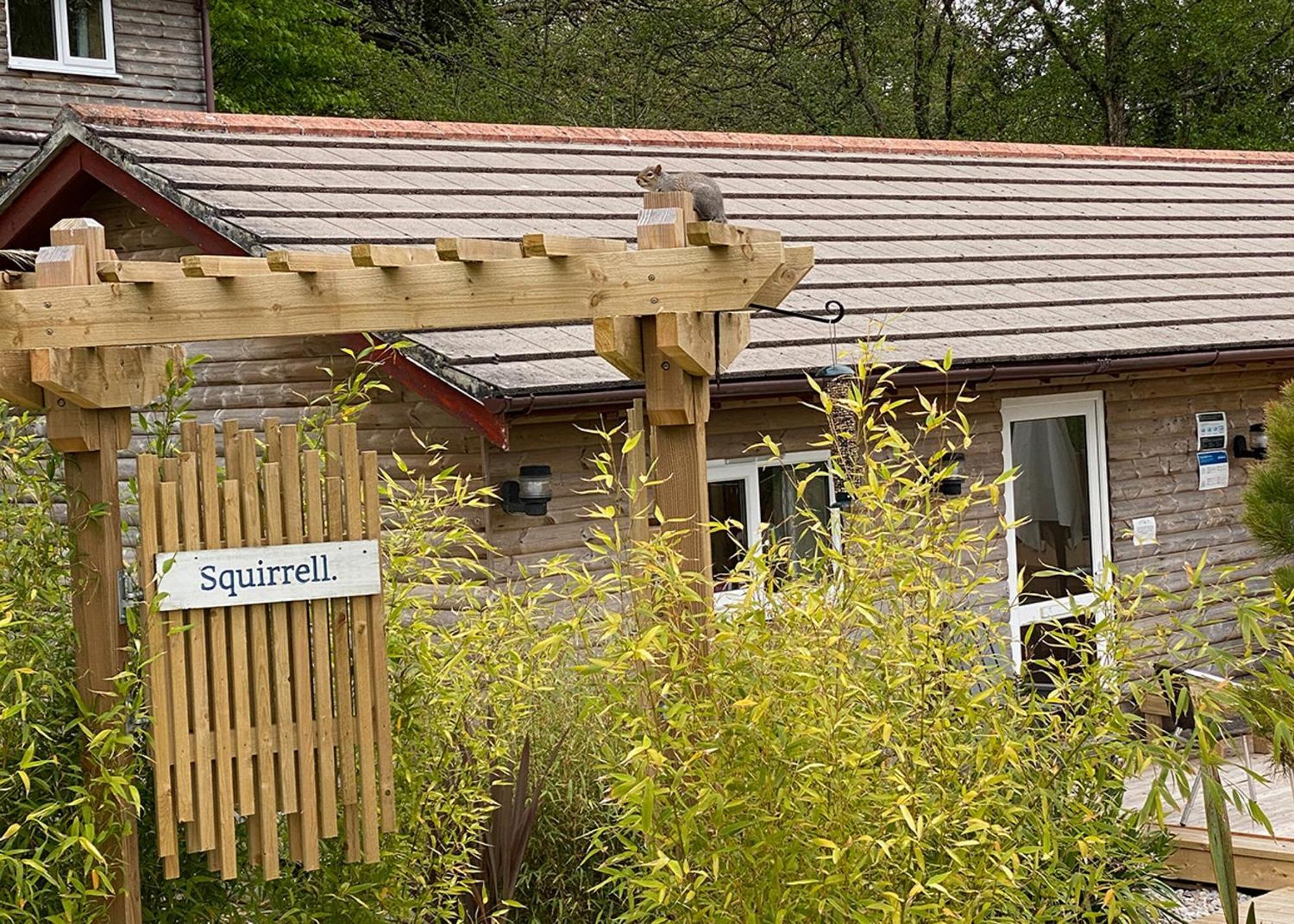 Ivyleaf Combe Lodges Stratton  Zewnętrze zdjęcie